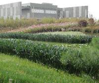 Haidong Wetlands Park