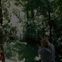 Go Ape Treetop Adventure Course