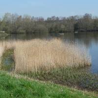 Brandon Marsh Nature Reserve