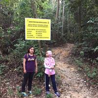 Kota Damansara Community Forest Reserve