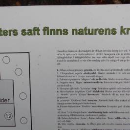 The parks of Enkoping