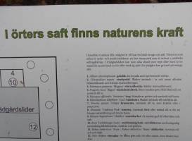 The parks of Enkoping