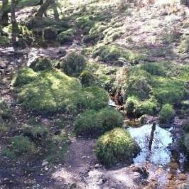 Parque Natura Monte Aloia