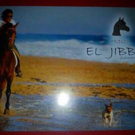 Hipica El Jibbah