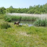 Parc Slip Nature Reserve