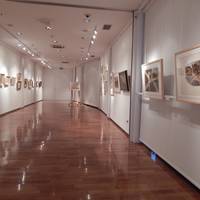 Galeria Adris