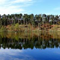 Millbuies Trout Fishery, Moray Fly Fishers