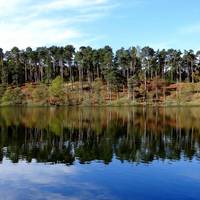 Millbuies Trout Fishery, Moray Fly Fishers