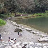 MaKau Ecological Park