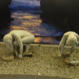 Museo Momias Chinchorro