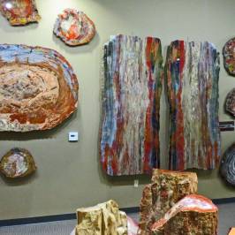 The Zuhl Museum