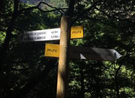 Nacimiento de Marcos y Cordero