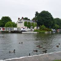 Saul Junction Canalside