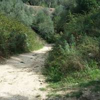 Baia delle Zagare