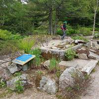 Jardin d'altitude du Haut Chitelet