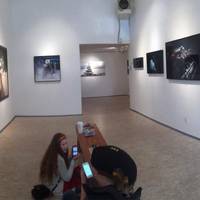 Bryan Ohno Gallery