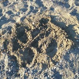 Spiaggia di Norsi