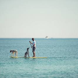 Windsurfstation Premantura