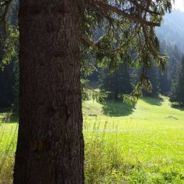 Ciclabile delle Dolomiti di Fiemme e Fassa