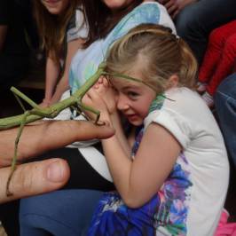 Bugtopia