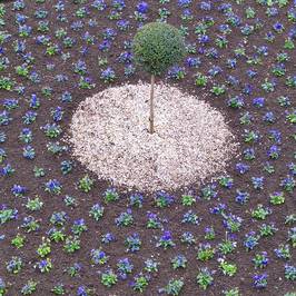 Jardin des Remparts