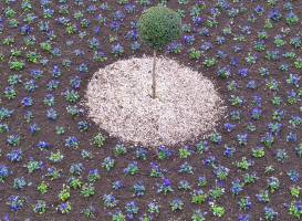 Jardin des Remparts