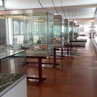 Museo Archeologico Nazionale Antiquarium Turritano