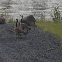 Derby Reach Regional Park