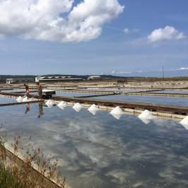 Parco Naturale delle Saline di Sicciole