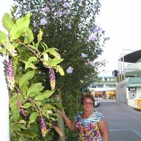 Bibione Spiaggia