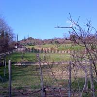 Parco Regionale dei Colli Euganei