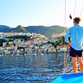 Scilla OnLine