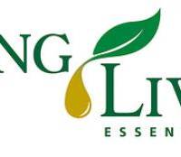 Rosewood Holistic Health Florida