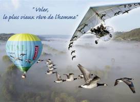 Voler Avec les Oiseaux