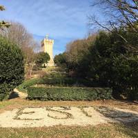 Castello Carrarese