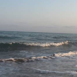 Playa La Punta del Fangar