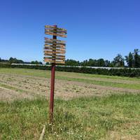 Bella Organic farm and Maze