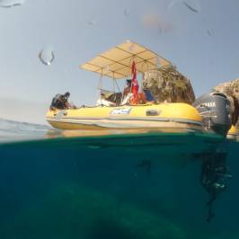 Pirate Divers Club