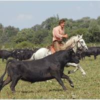 Camargue Découverte