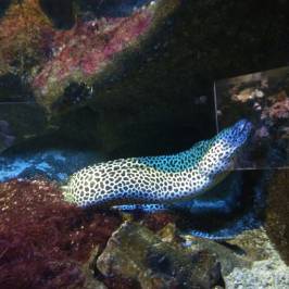 Aquarium du Limousin