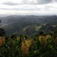 Pico Alto