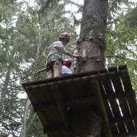 Action Forest Kletterwald