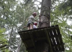 Action Forest Kletterwald