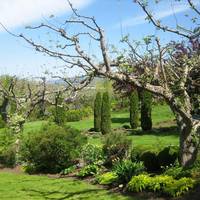 Elysium Gardens