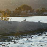 Stagno di San Teodoro