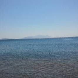 Camel Beach