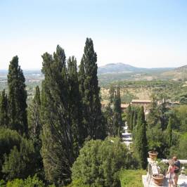 Junior Village