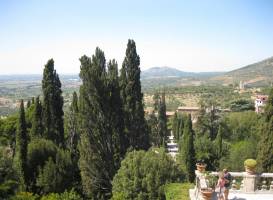 Junior Village