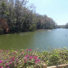 Parque Botânico Vale