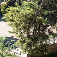 Villa Comunale dei Cappuccini